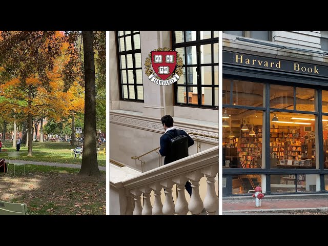 A Full Day as a Harvard Physics Student