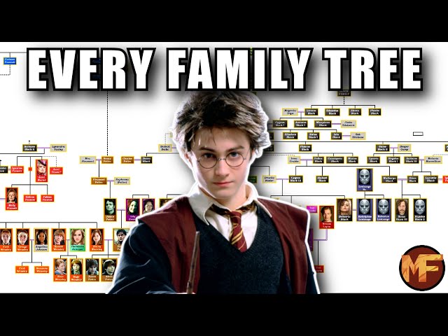 How EVERY Harry Potter Character is RELATED (All Family Trees Explained)