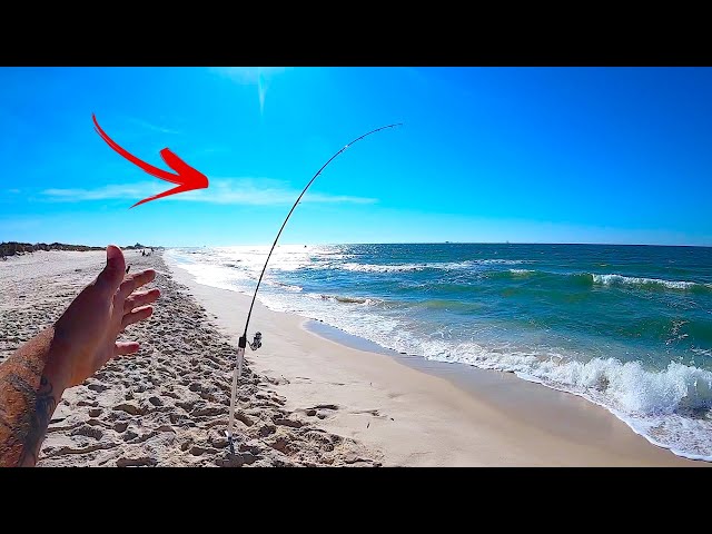 SUCCESSFUL Beach Fishing Tips for Gulf Shores, AL