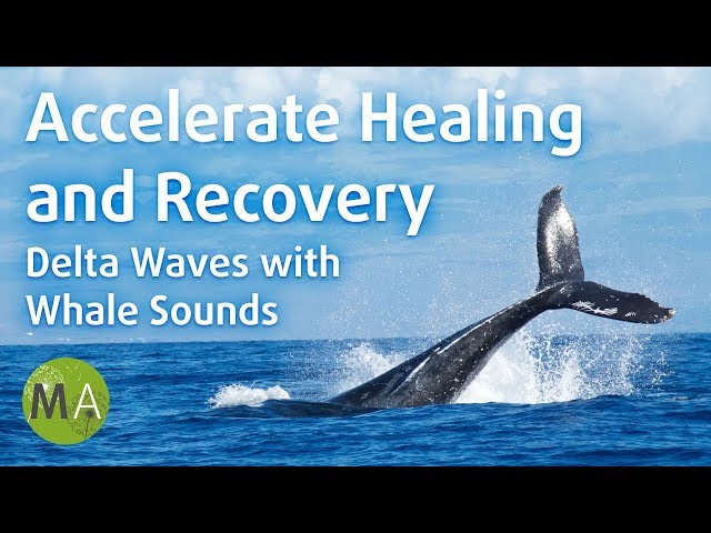 Accelerate Healing and Recovery, Delta Waves with Whale Sounds - Isochronic Tones