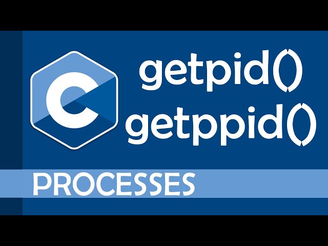 Process IDs in C