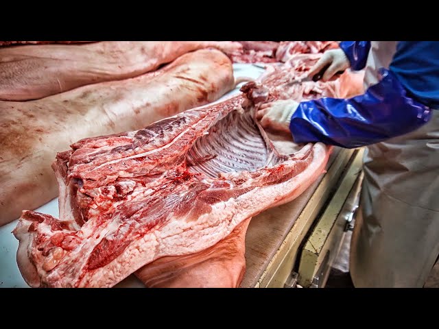 [Full version] HOW TO MAKE PORK BELLY - HOW TO BUTCHER A PIG / Pork dismantling - 돼지발골, 교육 부위별설명