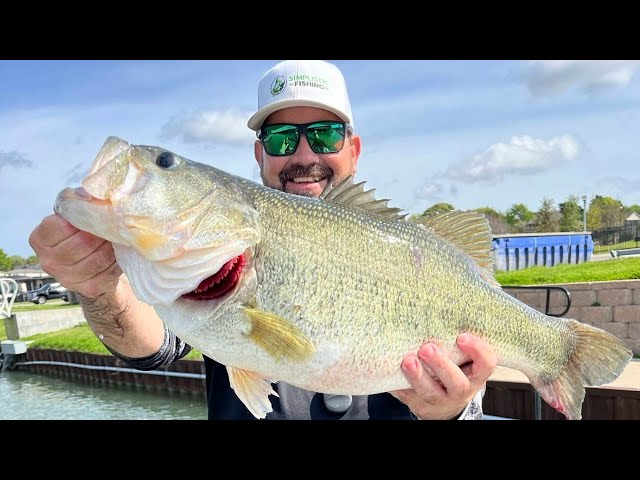 12 POUNDER - Giant Bass  - This is a MUST SEE!!!