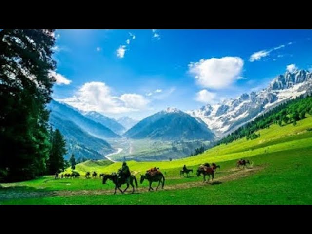 Indian most hidden places to visit 🏞️🌄🧳😍#travel #nature #viral #trandind