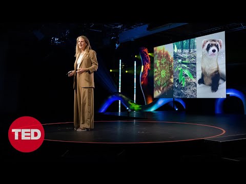 Ryan Phelan: The intended consequences of helping nature thrive | TED