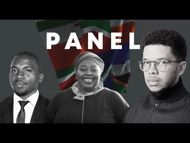 The New Apartheid by Sizwe Mpofu-Walsh: A Pan-African Conversation