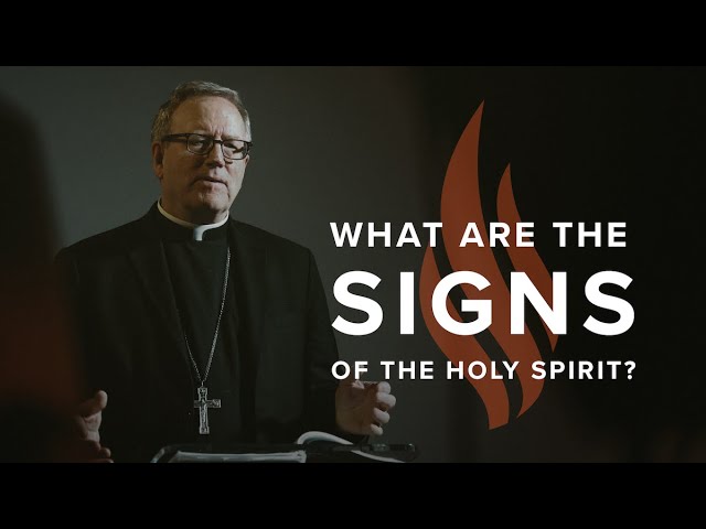 What Are the Signs of the ﻿Holy Spirit? - Bishop Barron's Sunday Sermon