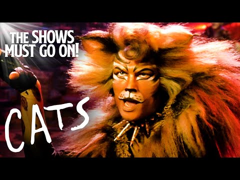 CATS The Musical | The Shows Must Go On!