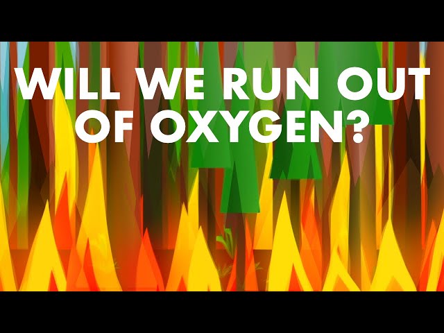 Will We Run Out Of Oxygen?