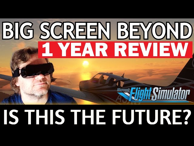 Bigscreen Beyond 1 YEAR Review | Worth BUYING in 2024? MICRO OLED 4K VR Headset | MSFS