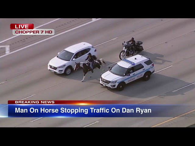 LIVE REPORT: Dreadhead Cowboy rides horse on Dan Ryan Expressway