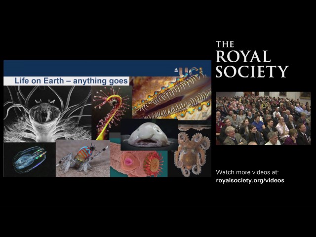 Why is life the way it is? Dr Nick Lane | The Royal Society