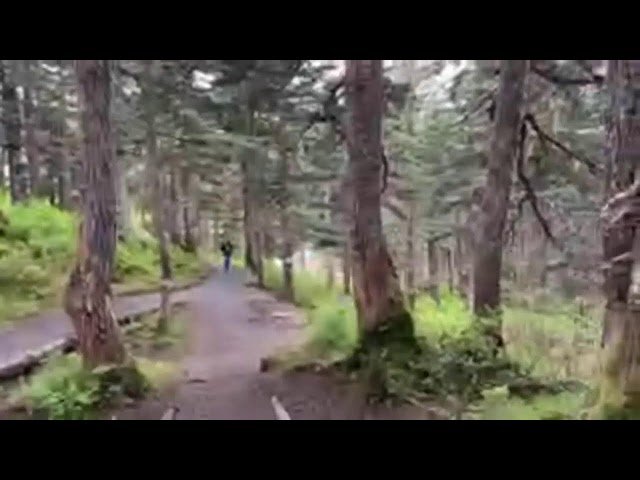 Hiking in Alaska Live Stream. (Shocked I got Internet)