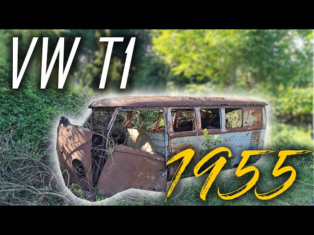 EDELWEISS on Tour | 50 Jahre vergessen auf einem Weinberg - VW T1 Bus!