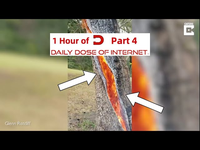 1 Hour Of Daily Dose Of Internet (Part 2)
