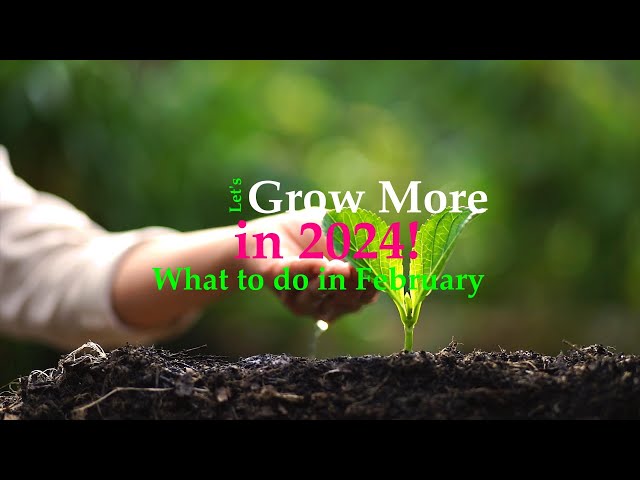 Grow more in 24/ February To Do's/Gardenstylenw