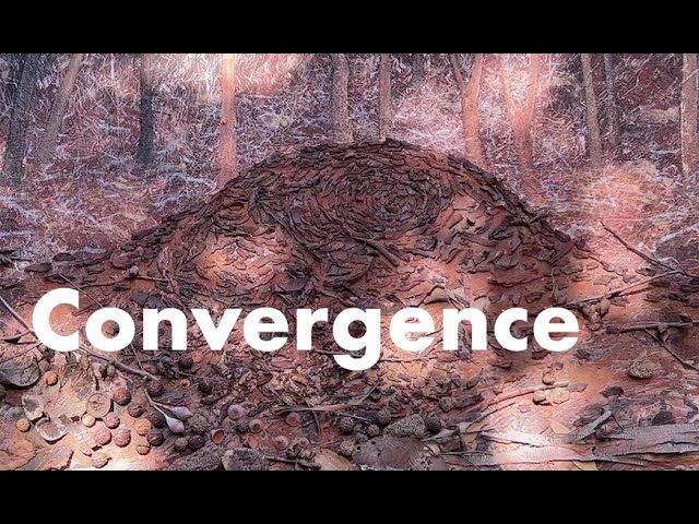 Art Word - Convergence - For Regenerative Minds a Farming Revolution in Australia