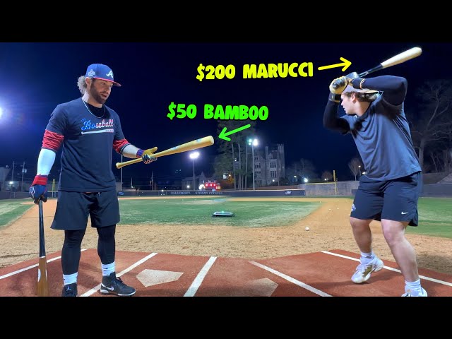 WOOD BAT PRICE COMPARISON | $50 vs. $150 vs. $200 vs. $300