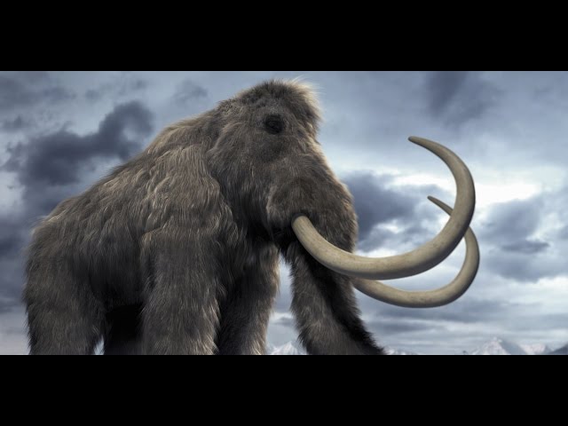 Amazing Life Mammoths of The Ice Age Discovery Documentary 2015 HD
