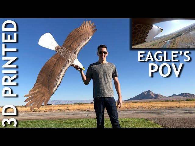 Coolest RC EVER - 3D Printed Eagle