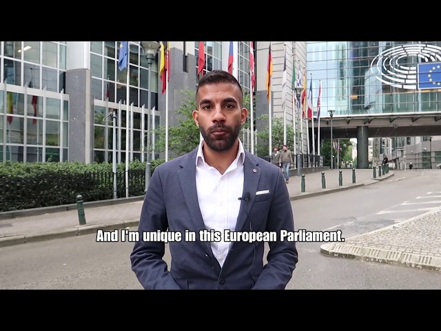 Coordinator of the Anti-Racism and Diversity Intergroup on EU elections