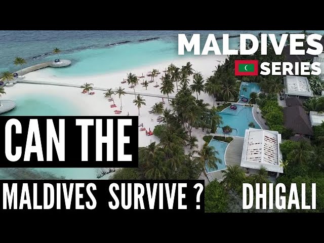 Can The  Maldives Survive Covid 19? Dhigali Resort