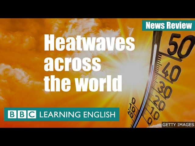 Heatwaves across the world: BBC News Review