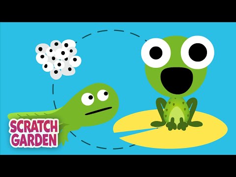 Science Songs! | Scratch Garden