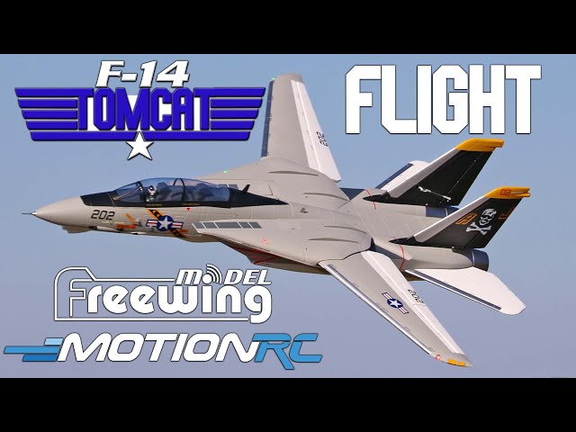 Flying the Freewing F-14 Tomcat Twin 64mm EDF Jet  | Motion RC