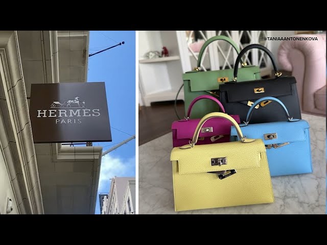 When not landing a Birkin bag lands Hermès a lawsuit: Here's a closer look