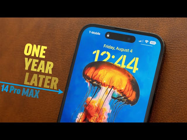 iPhone 14 Pro Max Review after 1 Year - What went WRONG?