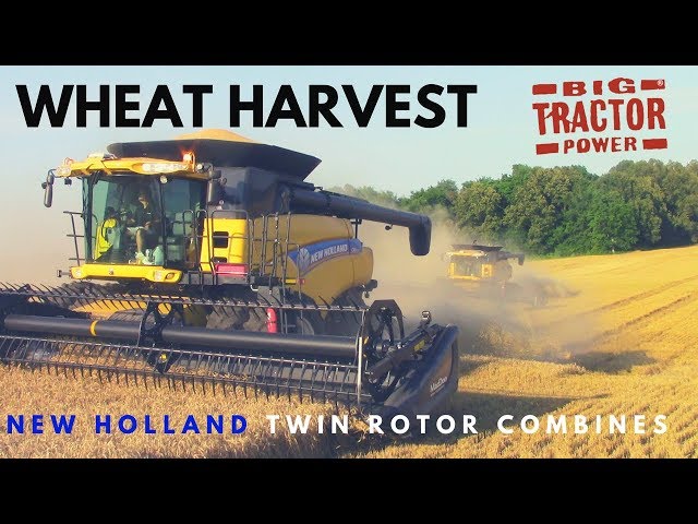 Wheat Harvest with New Holland Combines