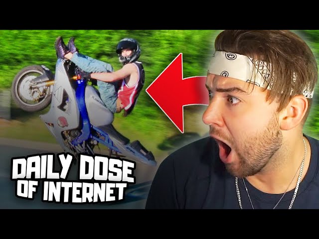 KingWoolz Reacts to DAILY DOSE OF INTERNET!! (CRAZIEST CLIPS)