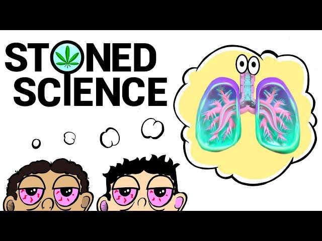 Two Stoned Comedians Explain the Respiratory System | STONED SCIENCE