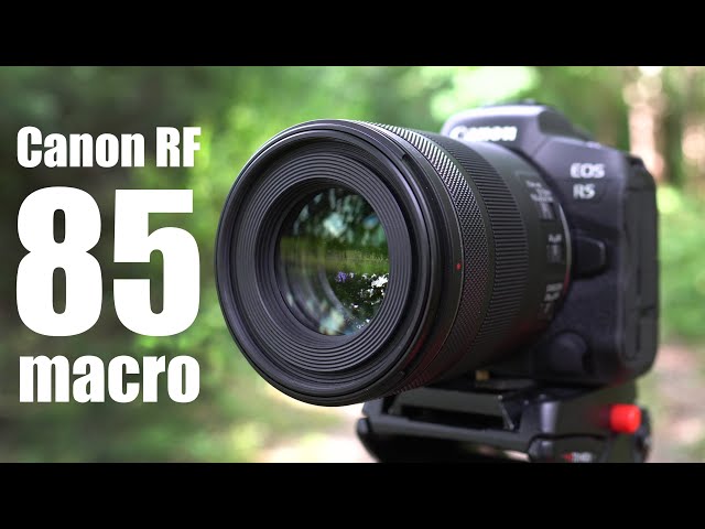 Canon RF 85mm f2 Macro HANDS ON first looks
