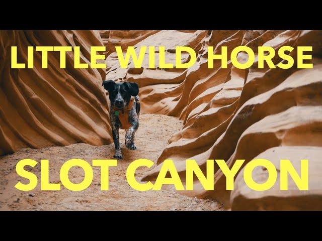 Little Wild Horse Slot Canyon | San Rafael Swell
