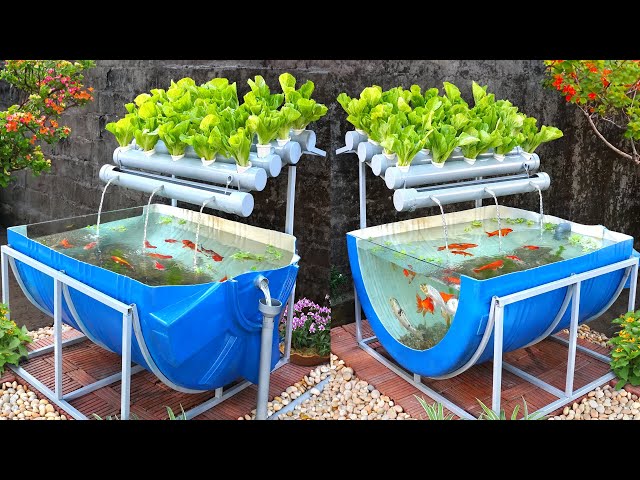 Recyclable cheap but effective aquaponics from plastic barrel