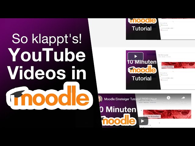Kurz erklärt: 3 Wege wie du Youtube-Videos in Moodle einbauen kannst