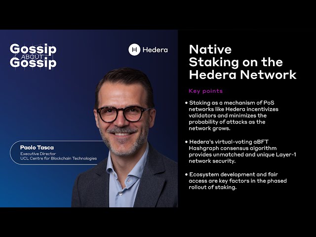 Gossip about Gossip: Native Staking on the Hedera Network with Paolo Tasca
