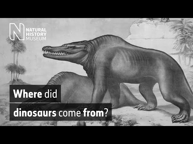 Where did dinosaurs come from? | Natural History Museum