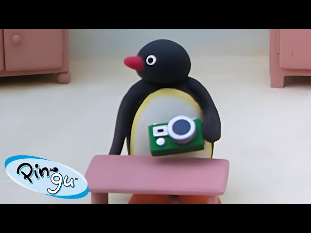 Pingu's Favorite Crafts 🐧 | Pingu - Official Channel | Cartoons For Kids