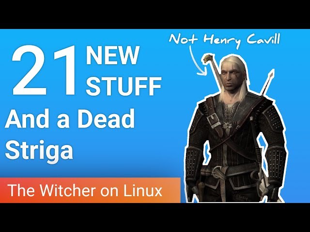 Getting some new stuff and still not looking like Henry Cavill - The Witcher on Linux part 21