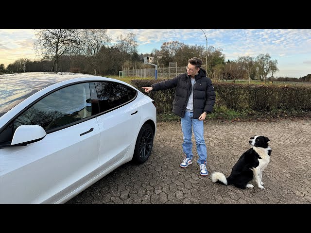 UNNÖTIG? Scheibentönung beim Tesla Model 3 2024: Vorher-Nachher und meine Meinung!
