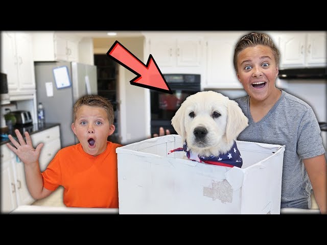 SURPRISING MY LITTLE BROTHER WITH A PUPPY! * EMOTIONAL *