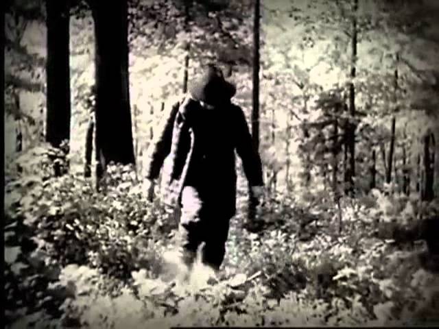 Hexvessel - Woods to Conjure