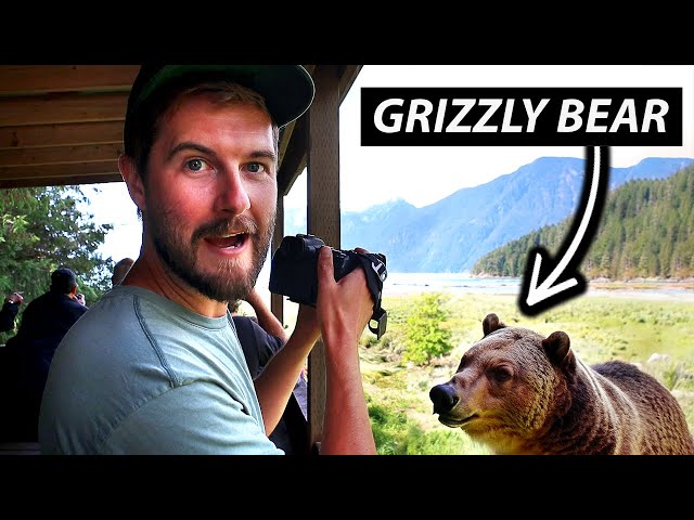 Looking for GRIZZLY BEARS in Remote Canada | Homalco