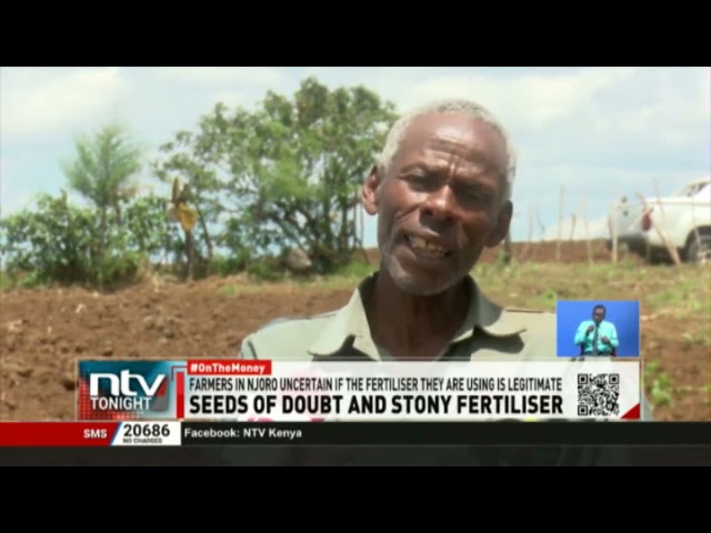 Nakuru farmers forced to buy different hybrid maize seeds, due to the ongoing maize shortage