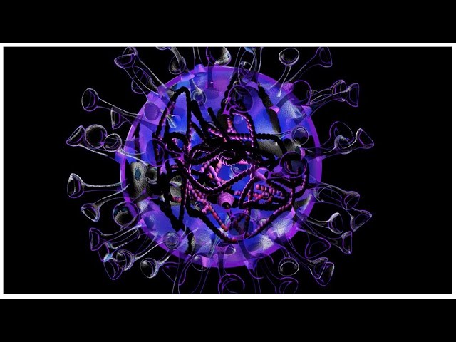 How does the coronavirus attack us | Matescium