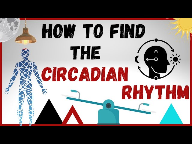 Timing the Mind | Andrew Huberman On Tuning Into the Circadian Rhythm