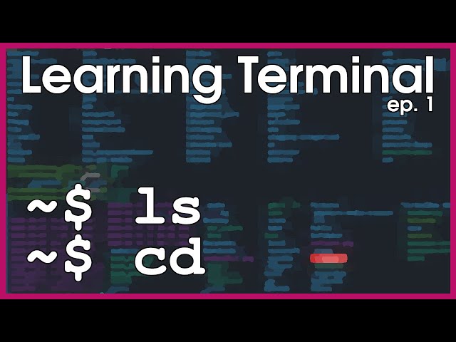 Linux Commands for Beginners - Listing and Changing Directories (ls. cd) Part 1